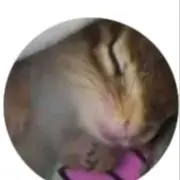 リス森