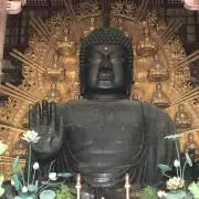 桔梗の画像