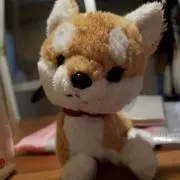 さおりの画像
