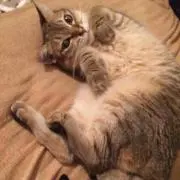 Meg