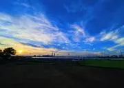 Oshiの画像