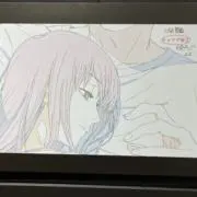 夏の画像