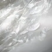 ｙｕｋｉの画像