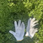 iの画像