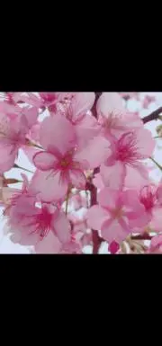 ❤︎の画像