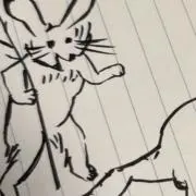 k.a.z