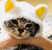 じゅんの画像
