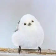 りと