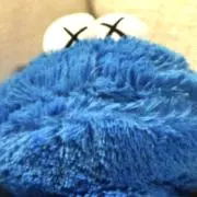 NYPの画像
