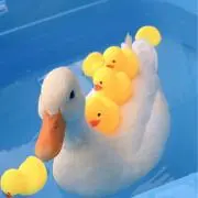 まあみの画像