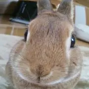mami☆必ずプロフご覧ください☆