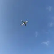 林檎の画像