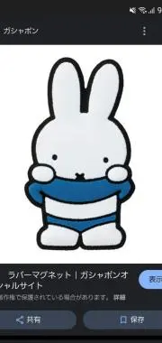 Nikochanの画像