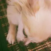 AKI →プロフ必読