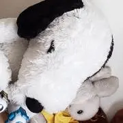 ココの画像