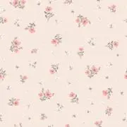 ももの画像