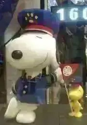 すぬの画像