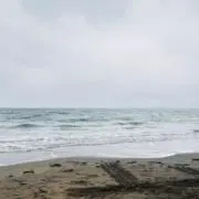 えすの画像
