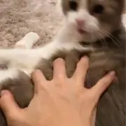 むの画像