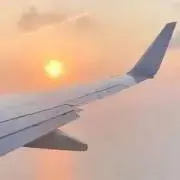 @モンチッチ
