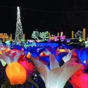 Aの画像
