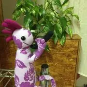 かずりん