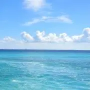 ランラン