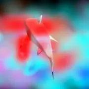 ひゅの画像