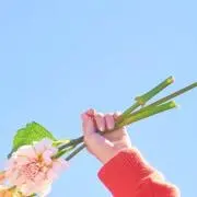 まらかの画像