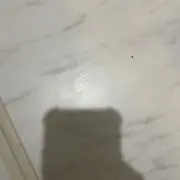 あの画像