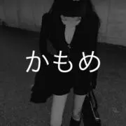 かもめの画像