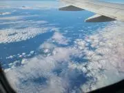 ミーの画像