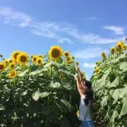 chiinaの画像