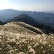 hiramiの画像