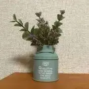 yuuriの画像