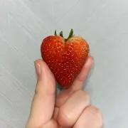 いちごっちの画像