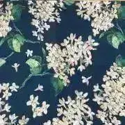 ゆうの画像