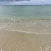つきたてもちNo.８の画像