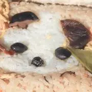 kIkIの画像