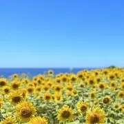 ⭐︎N I⭐︎即購入/おまとめ購入大歓迎の画像