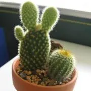ひろ
