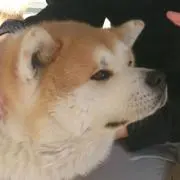 つぐつぐショップ
