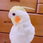 min