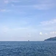 カーズ