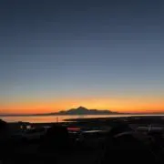 リカ