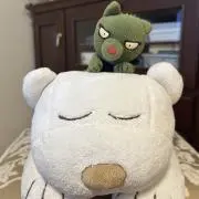 kinokoの画像