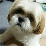 なお