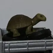 ガラパゴスの画像