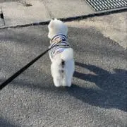 まちるの画像