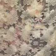 Rの画像